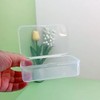 Farmer Mani 12 pcs Clear Plastic Box Containers (4.65" x