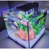 Level One Pets - Duo 2 in 1 Submersible Aquarium