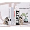 AMOYSTONE Heavy Duty Black Tourmaline Bookends for Bookshelves, Decorative Rock