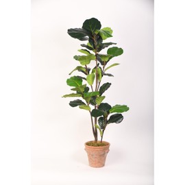 D&W Silks 48" Fiddle Leaf Fig Tree in Terra Cotta Planter