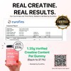 Creatine Monohydrate Gummies for Men & Women, 5g Creatine Per