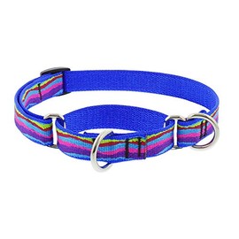 Martingale Small Dog Collar by Lupine 3/4" wide Ripple Creek design adjusts 10" to 14"