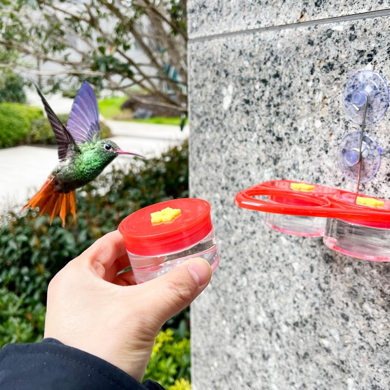 3-in-1 Suction Cup Hummingbird Feeder for Window, Outdoor Hanging