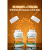 CÚRCUMA, JENGIBRE Y PIMIENTA NEGRA PARA MÁXIMA ABSORCIÓN FORMULA PREMIUM