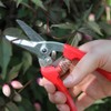 ARS Corporation 140DX-Y Family, Lightweight, Small, Fresh Flowers, Gardening Shears