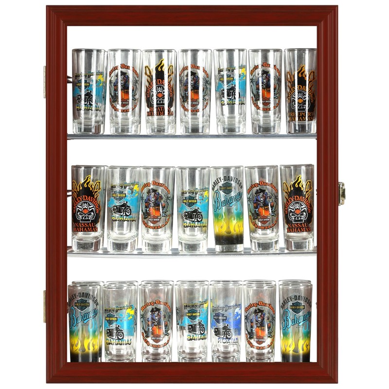 Souvenir Shot Glass Display Case Shadow Box Wall Mounted Cabinet