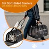 Airline Approved Cat Carrier for Small & Medium Pets up