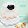 Egg Incubator for Hatching Chicks, Holds 12 Eggs, Automatic Egg