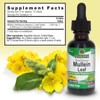 Nature's Answer Alcohol Free Mullein Leaf 1 Ounce Extract Supports