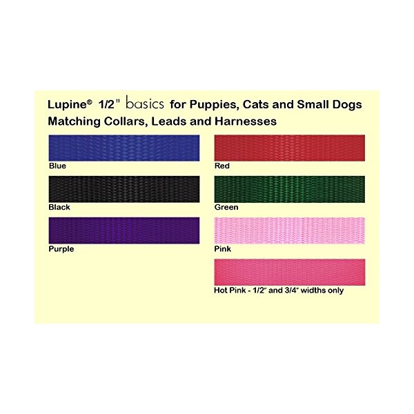 LupinePet Basics 1/2" Blue 9-14" H-style Harness for Small Pets