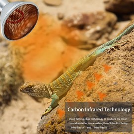 ExoRepti Reptil Heat Lamps