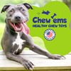 Chew’EMS X Bone Dog Chew Toy for Aggressive Chewers –