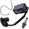 Ignition Coil for Sthil BR700 BR600 BR550 BR500 Backpack Leaf