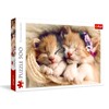 Trefl Sleeping Kittens 500 Piece Jigsaw Puzzle Red 19"x13" Print,