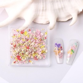 3D Dried Flowers for Nail Art, 1 Box Spring Flowers Nail Art Decoration Colorful Pink Yellow Flowers Nail Art Stickers Floral Bloom Nail Art for Manicure Decor Flower Designs Nail Accessories Supplies