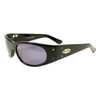Black Flys Fly No. 5 Sunglasses - Shiny Black -
