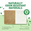 AIRNEX Paquete de 10 esponjas de Cocina Naturales biodegradables –
