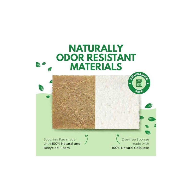 AIRNEX Paquete de 10 esponjas de Cocina Naturales biodegradables –