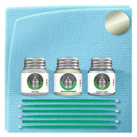 ERA Paints LA6K - Gecko Green Metallic for VOLKSWAGEN Exact Match Automotive Touch Up Paint Jar - Premium Kit