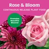 Scotts Rose & Bloom Continuous Release Plant Food, 3 lb