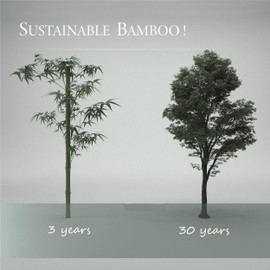 BPC Bamboo Soap Dish (Pack of 2) – Fast Draining Wooden Bar Soap Holder, Friendly Bathing Handwash Bathroom Accessory for Sink & Shower