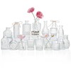 Glass Bud Vases Set of 16 Pcs, Small Bud Vases