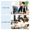 Sanwa Supply USB to 3TCH34BK HDMI Converter Adapter with USB