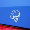 Decal Stickers of Golden Retriever (White) (Set of 2) Premium