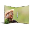 HERMA Ring Binder Animals with Forest Animals Motif, A4, 35