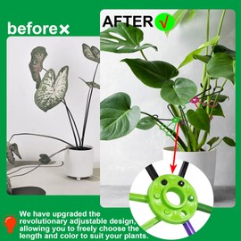 2025 Upgraded 6packs Plant Stabilizer For Indoor Plants, Invisible Plant Pro Monstera Stem Supports System - Durable Hooks Holders Set For House Indoor Plants Green Large Small Clear Rosebud (Black)