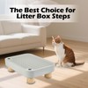 SpaceTime Elevated Litter Box Step/Ramp/Catcher Cat Litter Mat with Wooden