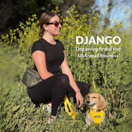 DJANGO Nolita Belt Bag—Modern Dog Walking Fanny Pack & Stylish Crossbody Belt Bag with Multiple Compartments, Key Clip, Cardholder Slots, and Built-In Poop Bag Dispenser (Olive Green)