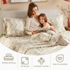 Sleep Philosophy True North Cozy Flannel Warm 100% Cotton Sheet