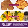 Flower Drying Kit Includes Flower Press Drying Boards, Quick Dry