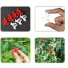 SagaSave 10 Pieces Plant Training Clips, 90 Degree Plant Growth
