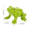 TOYANDONA 1 Set Animal Life Cycle Figures of Frog Growth