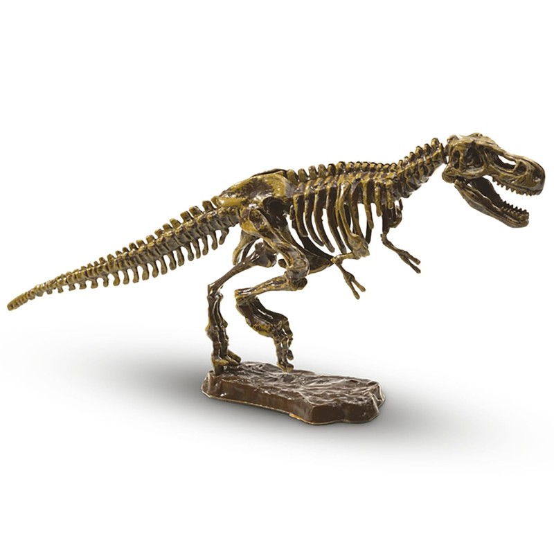 SES Creative 25028 Explore Excavate A T-Rex Toy, Mixed, 18