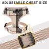SCENEREAL Puppy Dog Harness with Leash Set for Small Medium