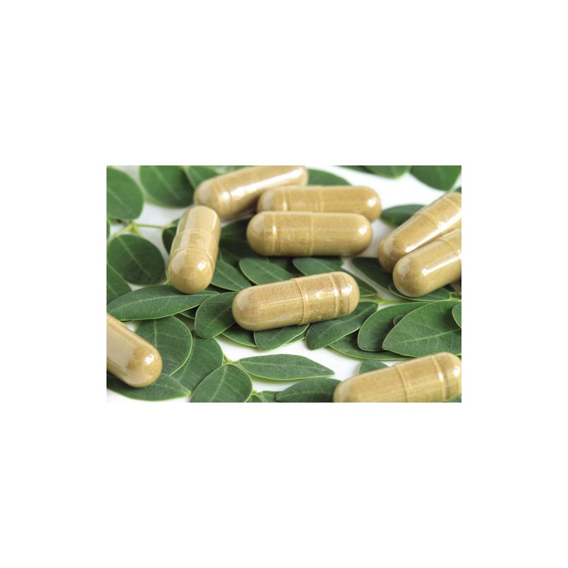 Nutrisalud Products Moringa en Capsulas naturales. Set de 2 frascos.
