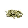 High Quality Green Fennel by Stay Spiced! I Very Fine