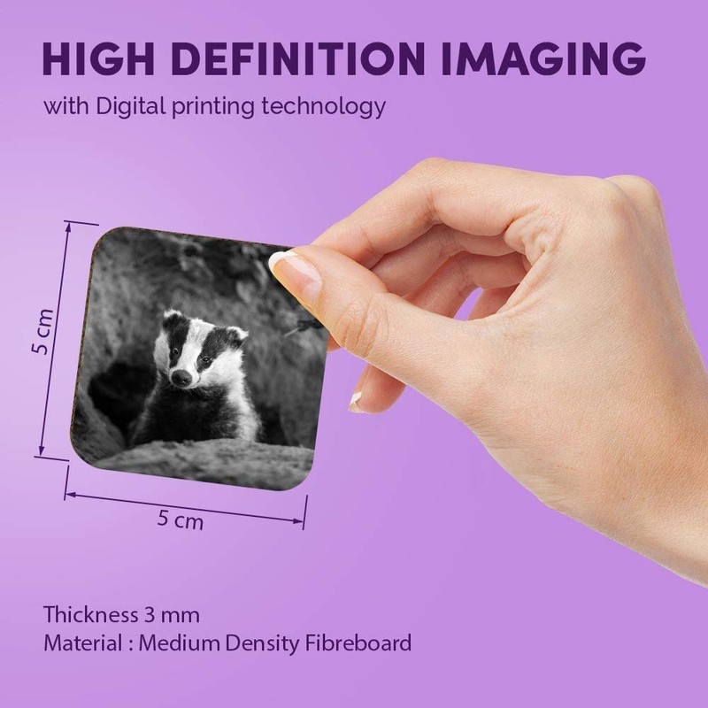 1 x Square MDF Fridge Magnet - Badger Sett Wildlife