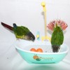 Petlex Bird Bathtub Parrot Bath Fountain Indoor Automatic Bathtub with