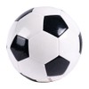 Sport-Thieme Football training