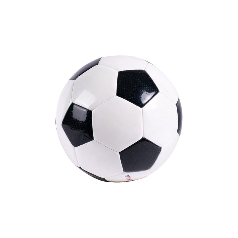 Sport-Thieme Football training