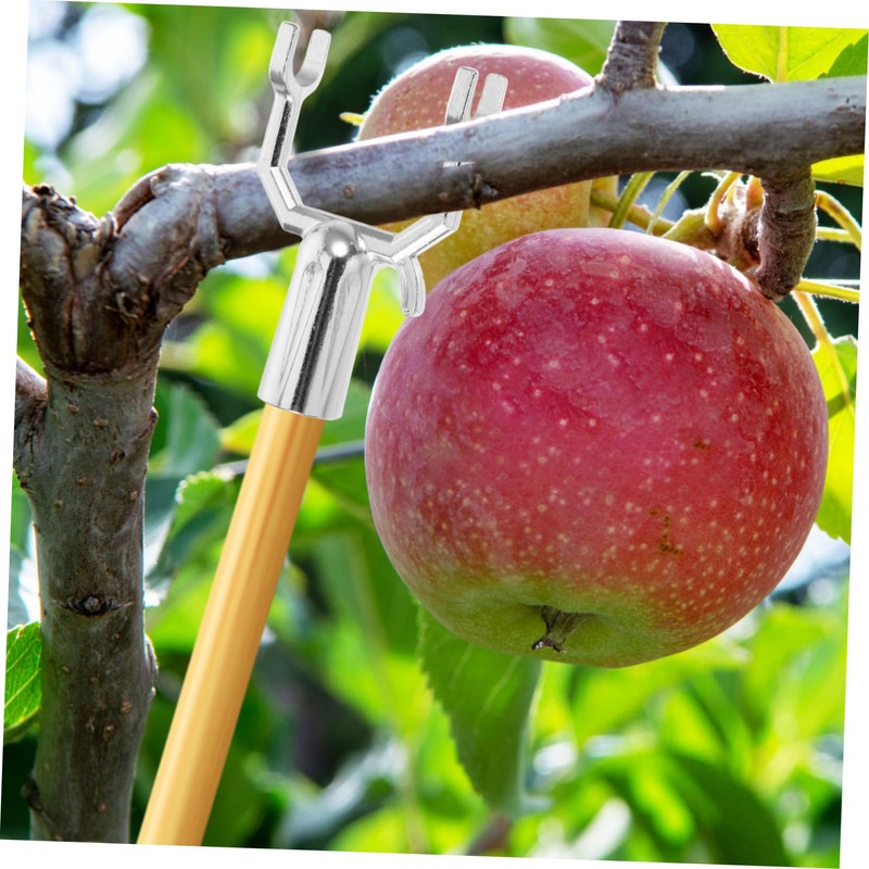 BESPORTBLE 10pcs Metal Tree Branch Support Forks Support for Fruit