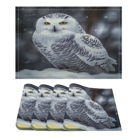 Linen Placemats,Arctic Owl Print Washable Place Mat Table Mats for Home Party Kitchen Dining Decor 12x18 Inch
