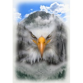 Hoffman California Fabrics 30" X 44" Panel Bald Eagle Mountains Birds Scenic Landscape Call of the Wild Digital Print Cotton Fabric Panel (V5272-483-Fog)