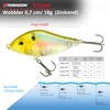 Robinson Fishing Lure for Large Predatory Fish - Jerkbait Wobbler,