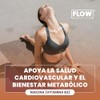 NIACINA (Vitamina B3) - Flow Supplement | LLEVA MÁS X