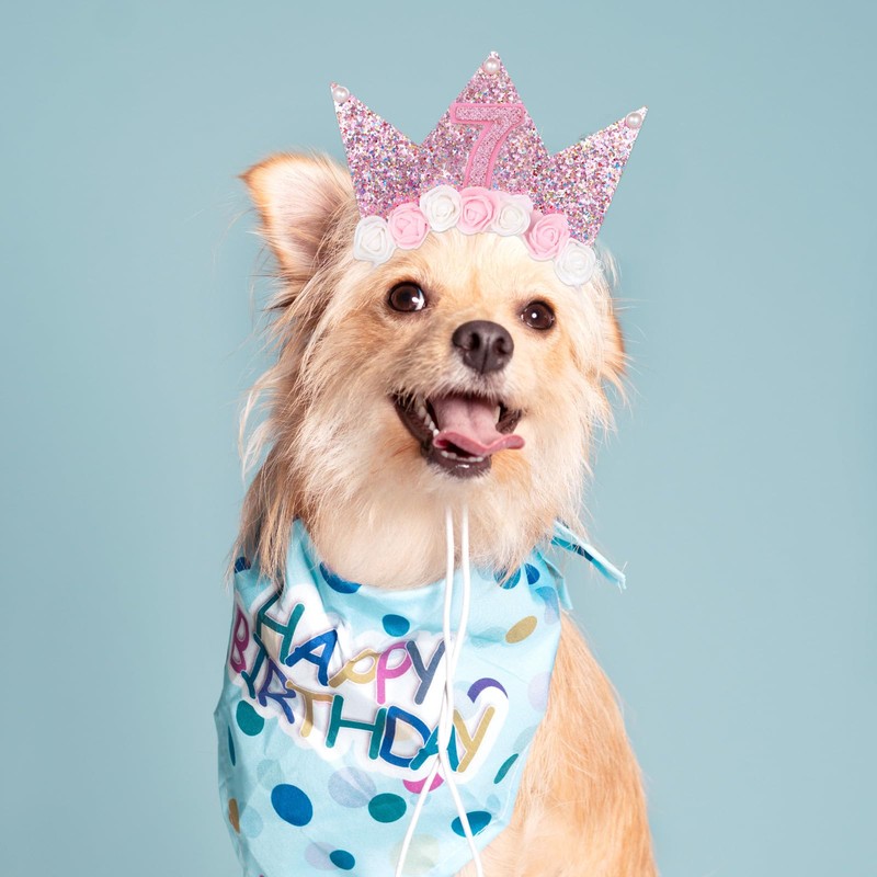 Birthday Crown It's My Birthdays Sash 4/5/7th Birthday Decorations for